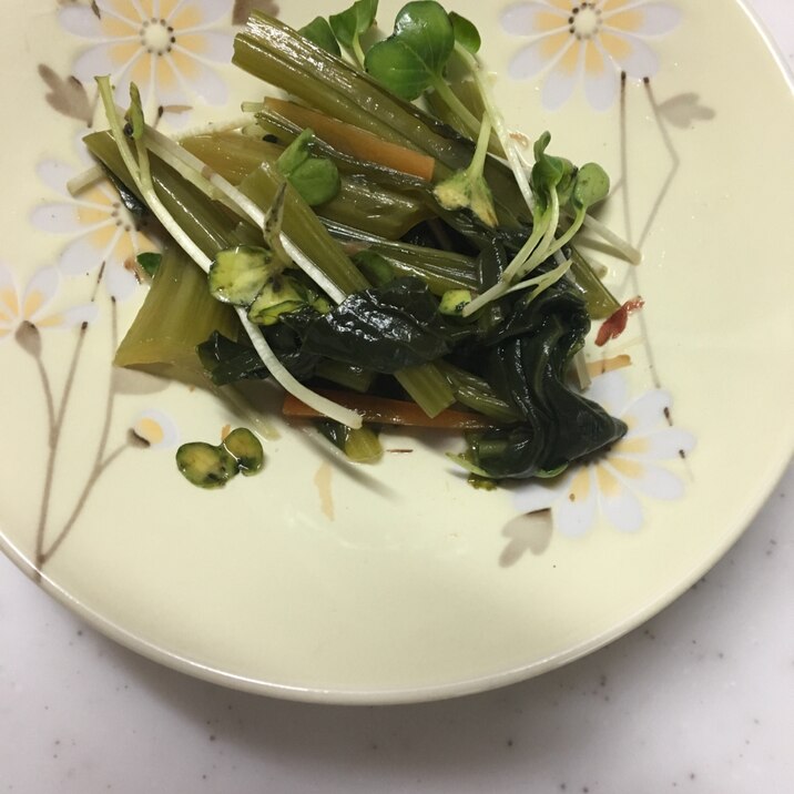 しゃもじ菜炒め煮の貝割れ大根混ぜ╰(*´︶`*)╯